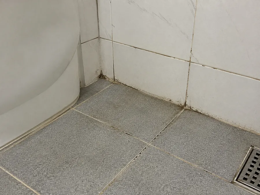 화장실 청소 전